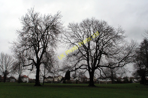 Photo 6"x4" Two Ashes, Cator Lane Recreation Ground, Chilwell Beeston\/SK5236 c2008
