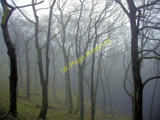 Photo 6"x4" Macclesfield Forest Macclesfield Forest c2008