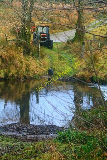 Photo 6"x4" Ford at Auchenbreck Grogport c2008
