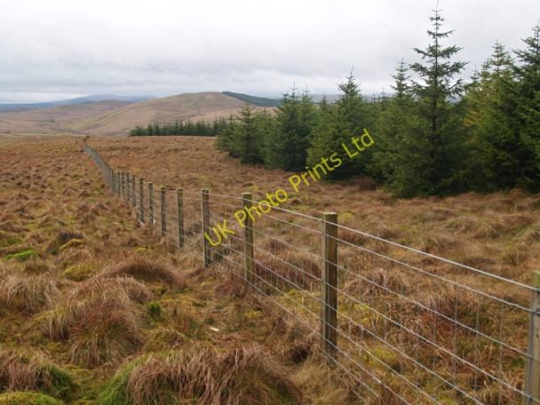 Photo 6"x4" Forest edge and fence, Falla Moss Glencraigie Burn c2008