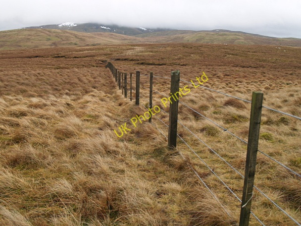 Photo 6"x4" Fence, Falla Moss Falla Moss c2008