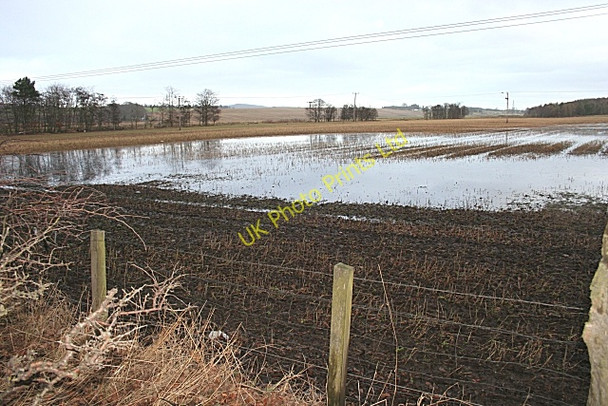 Photo 6"x4" Waterlogged Fields Invergordon c2008