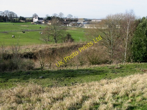 Photo 6"x4" Cottington Court from Fowlmead Country Park Deal c2008