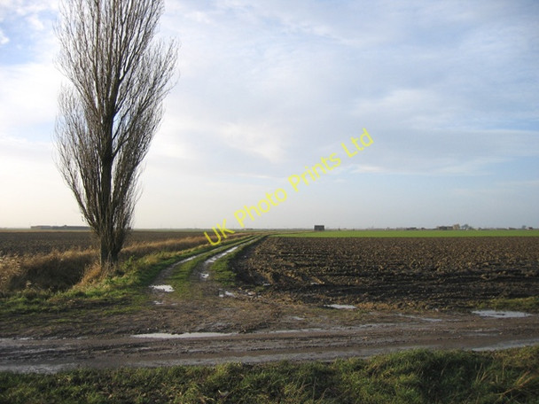 Photo 6"x4" Rush Lane, Swineshead, Lincs Swineshead\/TF2340 c2008