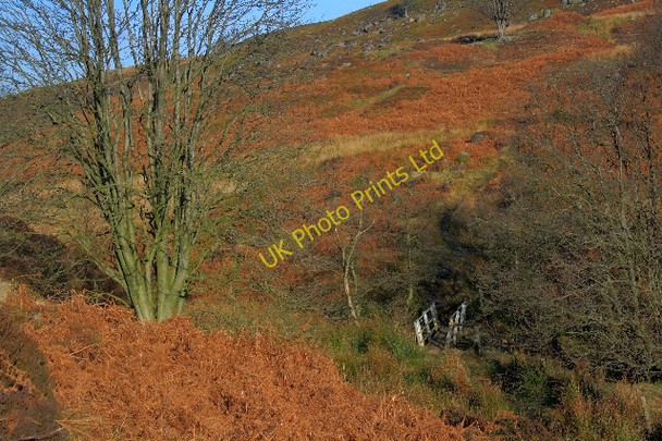 Photo 6"x4" Footbridge over the Esk Westerdale\/NZ6605 c2008