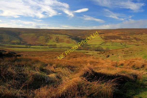 Photo 6"x4" Marsh Below Esklets Crags Church Houses c2008