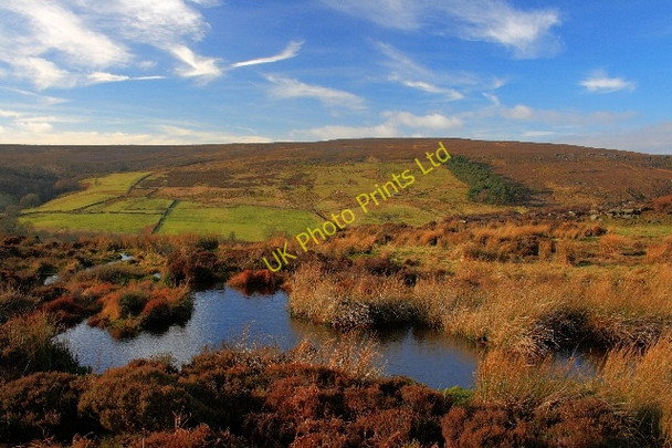 Photo 6"x4" Small Pond Below Esklets Crag Church Houses c2008