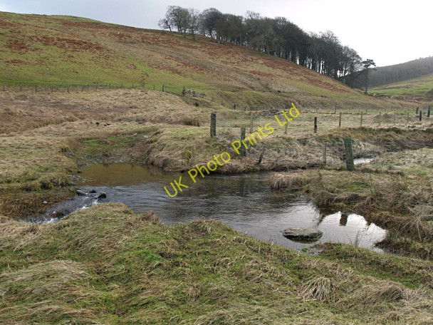 Photo 6"x4" Ford, Dod Burn Skelfhill c2008