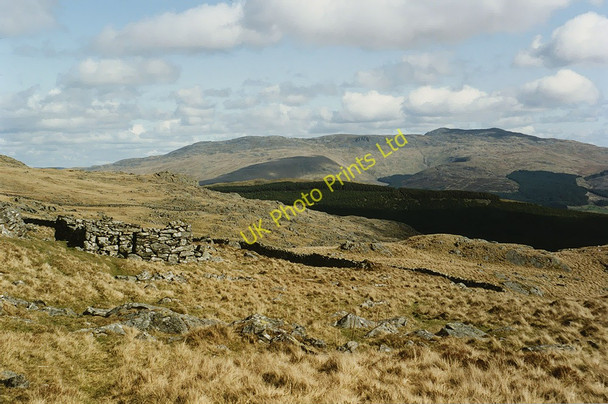 Photo 6"x4" Ruins near Ffynnon Shon Llanfachreth c1993
