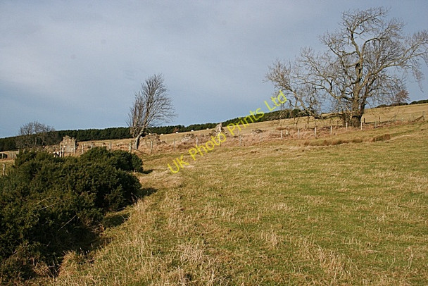 Photo 6"x4" Approaching Lower Hillside Towiemore c2008