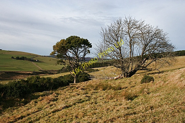 Photo 6"x4" Looking west from Lower Hillside Towiemore c2008