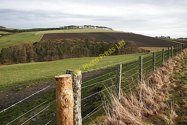 Photo 6"x4" Looking towards the hill above Edintore Towiemore c2008