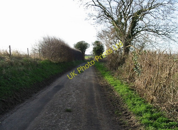 Photo 6"x4" View SW along Thornton Lane Heronden\/TR2954 c2008