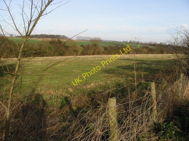 Photo 6"x4" View N from Black Lane path Heronden\/TR2954 c2008
