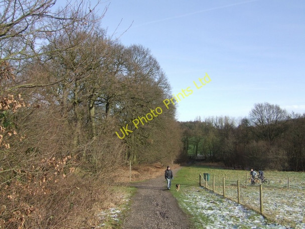 Photo 6"x4" Winter on the Monarch's Way Bushbury\/SJ9203 c2008
