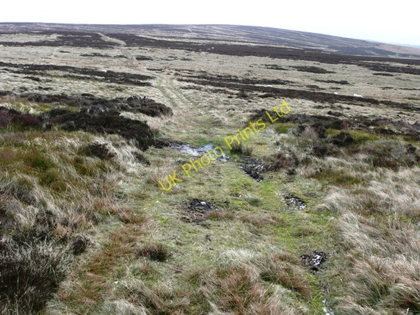 Photo 6"x4" On Mynydd Coety Blaenavon c2008