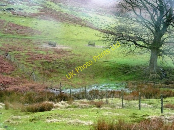 Photo 6"x4" In Cwm Sychan Abersychan c2008