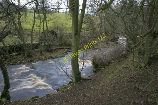 Photo 6"x4" Marske Beck Clints\/NZ1000 c2008