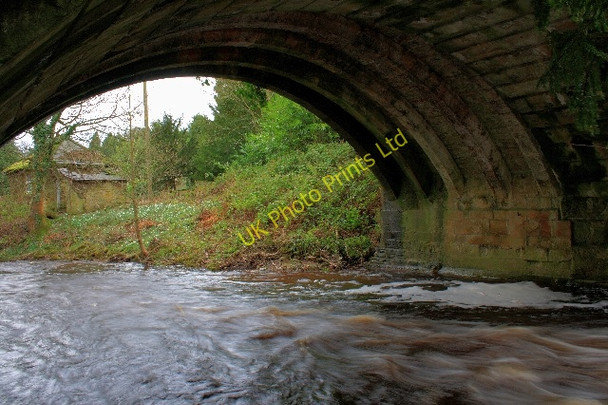 Photo 6"x4" Marske Bridge Clints\/NZ1000 c2008