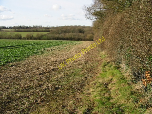 Photo 6"x4" Looking towards Lower Soles Wood Frogham\/TR2550 c2008