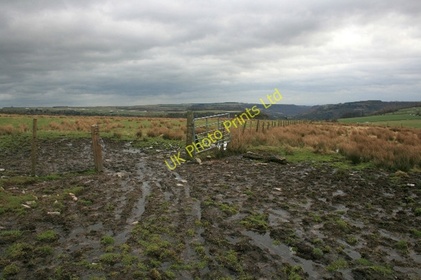 Photo 6"x4" Gate, Musgrove or Cleaburn Pasture Clints\/NZ1000 c2008