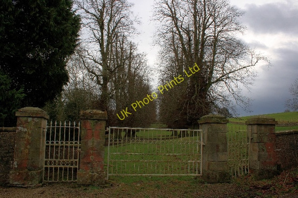 Photo 6"x4" Avenue of Lime Trees, Marske Hall Clints\/NZ1000 c2008