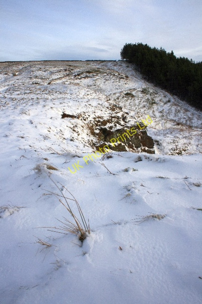 Photo 6"x4" Path Climbing up to Newton Moor Great Ayton c2008