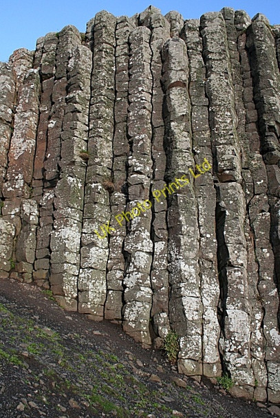 Photo 6"x4" Detail of Basalt Columns Portballintrae c2007