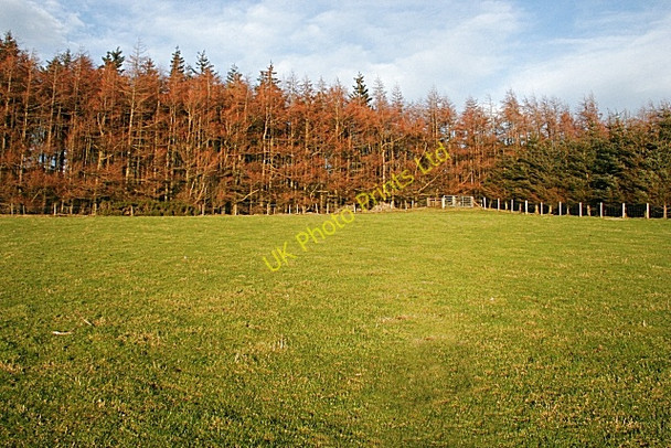 Photo 6"x4" Cairds Hill Blackhillock\/NJ4348 c2008