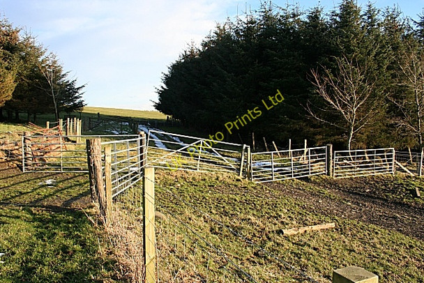 Photo 6"x4" A Plethora of Gates Blackhillock\/NJ4348 c2008