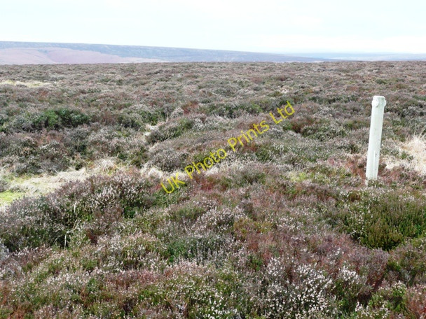 Photo 6"x4" On Mynydd Varteg Fawr East Bank\/SO2206 c2008