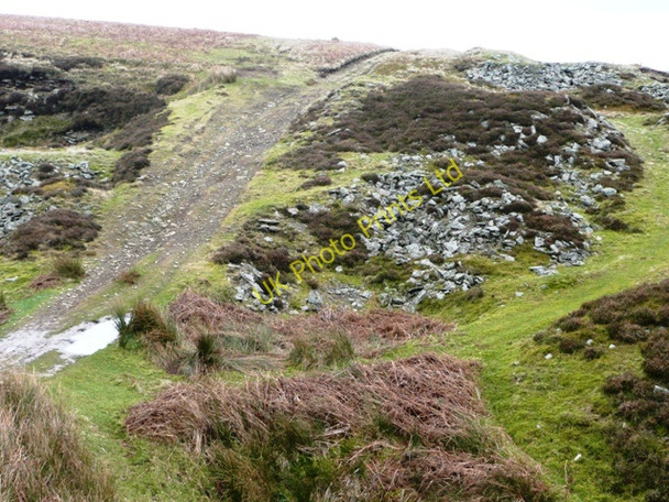 Photo 6"x4" Track above Blaenmelyn East Bank\/SO2206 c2008