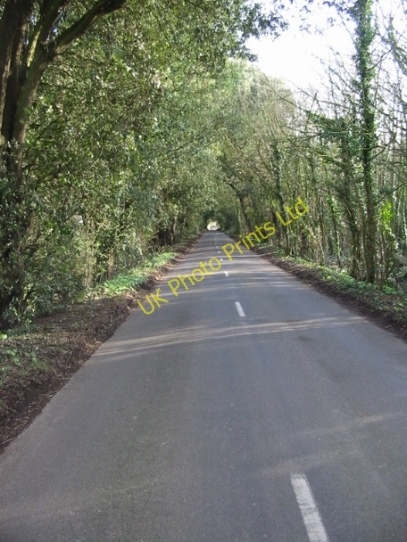Photo 6"x4" Looking E along a tree lined road towards Northbourne Betteshanger c2008