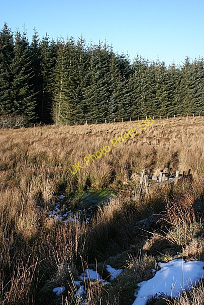 Photo 6"x4" On Gallow Hill Haugh of Glass c2008