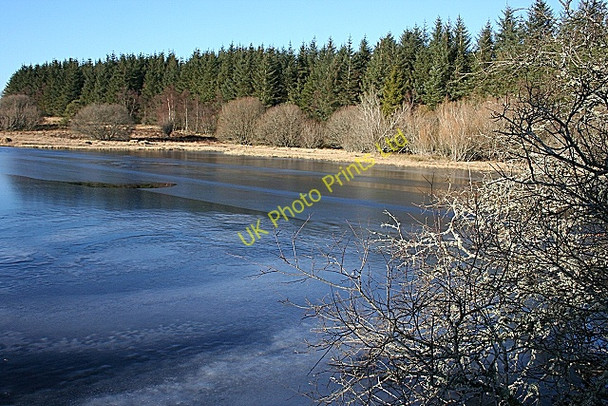 Photo 6"x4" Frozen Pond, Daugh of Invermarkie Haugh of Glass c2008