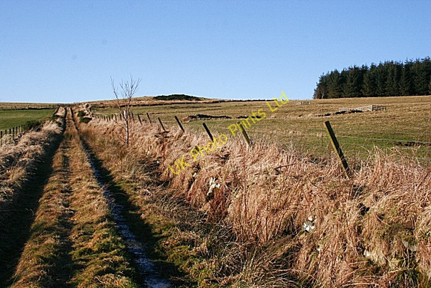 Photo 6"x4" Track to Balnacraig Haugh of Glass c2008