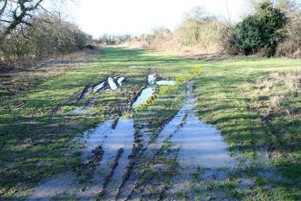 Photo 6"x4" Track leading to Moat's Way Farm Hemingford Abbots c2008