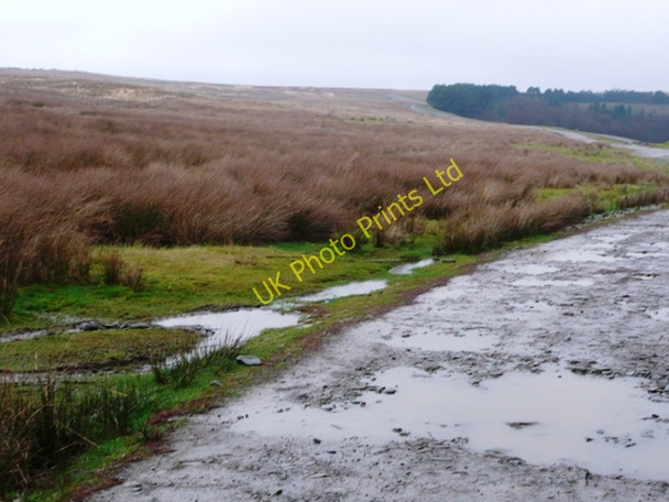 Photo 6"x4" Track across the moors Abertillery\/Abertyleri c2008