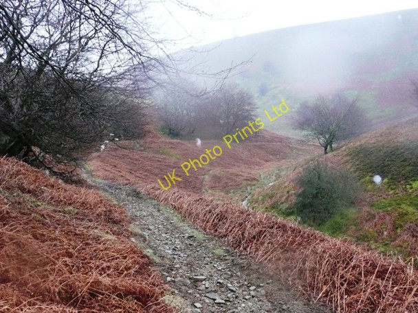 Photo 6"x4" Descending Cwm Sychan Abertillery\/Abertyleri c2008