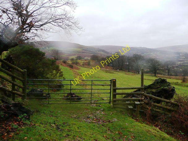 Photo 6"x4" How green is my valley? Abersychan c2008