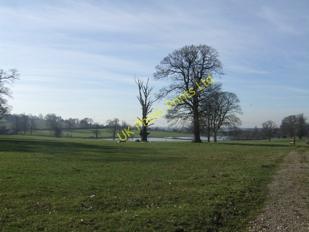 Photo 6"x4" Parkland at Hatherton Hall Cannock c2008