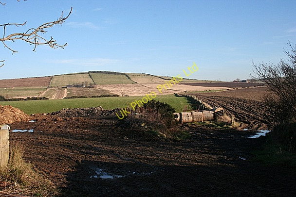 Photo 6"x4" Easter Culbirnie Boyndie c2008
