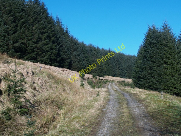 Photo 6"x4" Forestry road, Errickstane Hill March\/NS9914 c2008