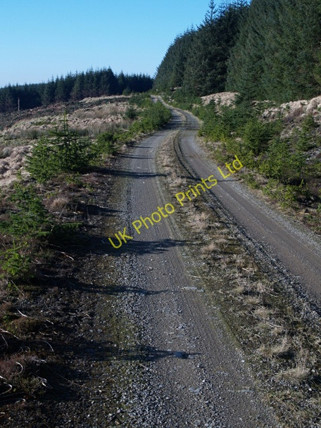 Photo 6"x4" Forestry road, Errickstane Hill March\/NS9914 c2008 P1