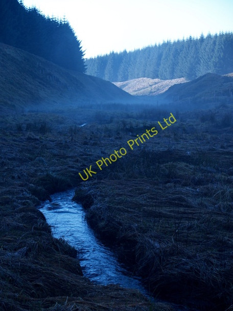 Photo 6"x4" Back Burn, Upper Howcleuch Forest March\/NS9914 c2008