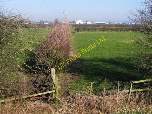 Photo 6"x4" Hedge and fields by the River Dee\/Afon Dyfrdwy Saltney c2008