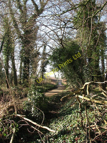 Photo 6"x4" Glimpse at Aylsham Road Oulton Stret c2008