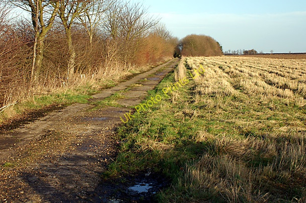 Photo 6"x4" Bridleway to Mill Farm North Elkington c2008