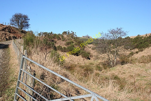 Photo 6"x4" Burn of Cairnborrow Ardonald c2008