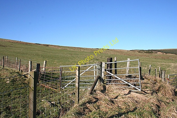 Photo 6"x4" Newton Hill Ardonald c2008